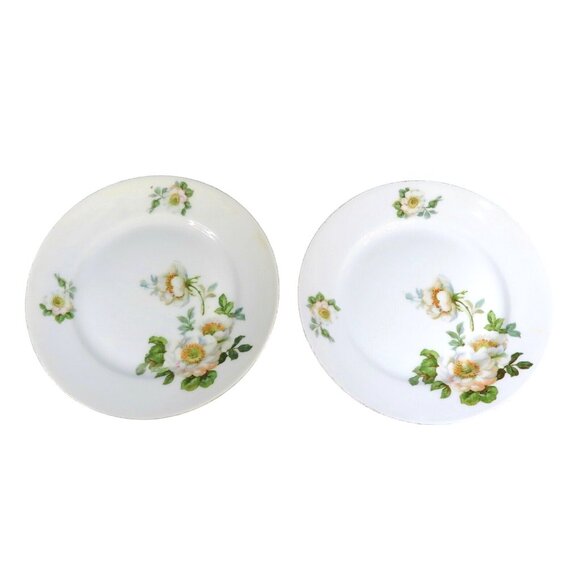 Koenigszelt Silesia Germany Wild Roses Set of 2 Antique 1920s Dessert Plates - Picture 2 of 6